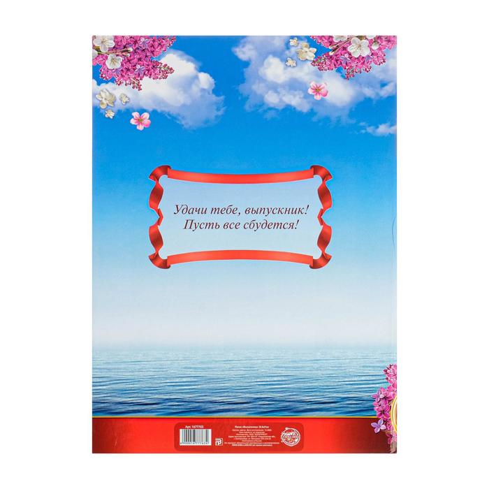 Папка "Выпускнику" с 2-мя файлами