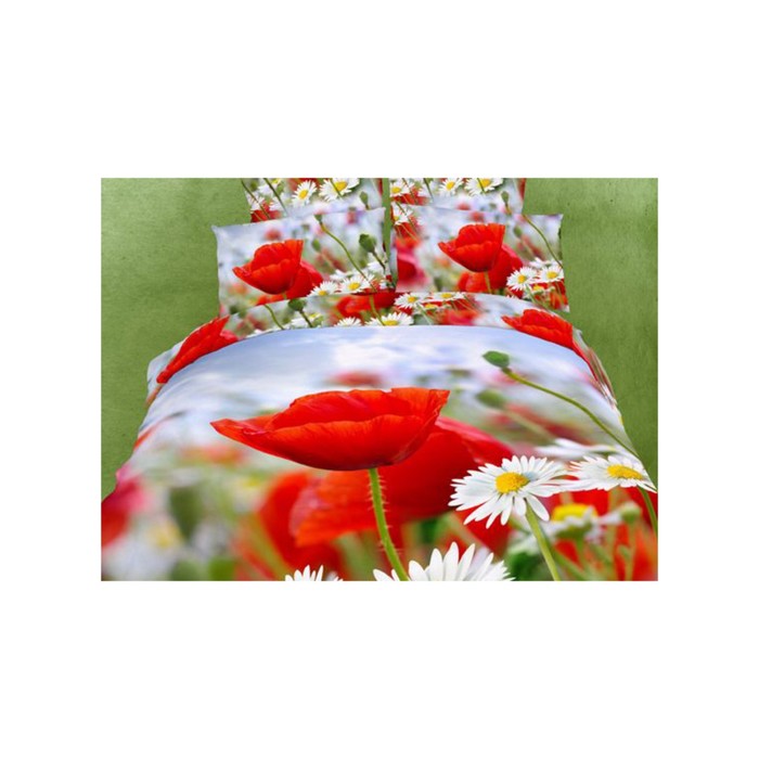 КПБ евро, 220х245 см, 200х220 см, 50х70 см-2 шт., сатин TS03-195