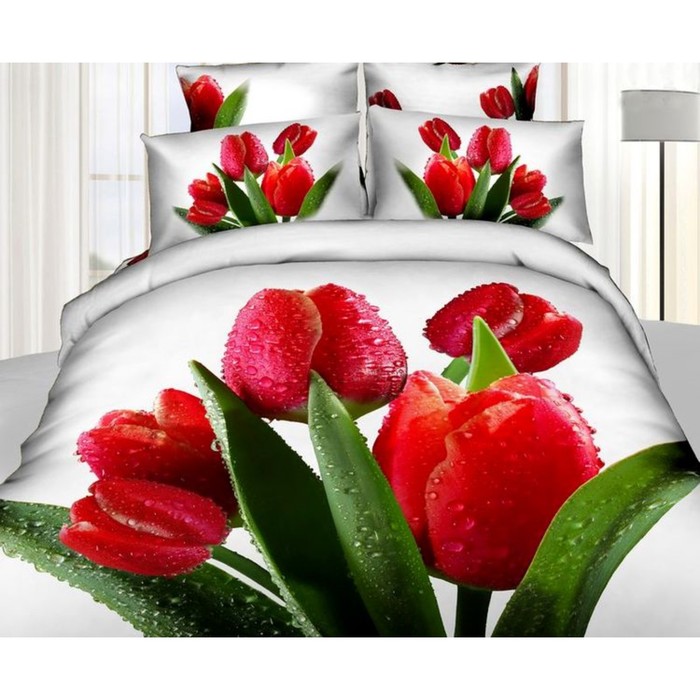 КПБ евро, 220х245 см, 200х220 см, 50х70 см, 70х70 см по 2 шт., сатин TS04-835