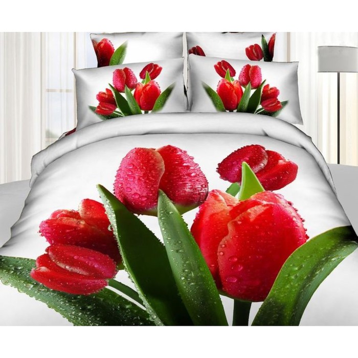 КПБ 1,5 сп, 180х245 см, 160х210 см, 50х70 см-2 шт., сатин TS01-835-50