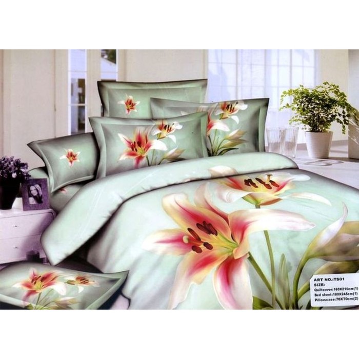 КПБ 1,5 сп, 180х245 см, 160х210 см, 70х70 см-2 шт., сатин TS01-116-70