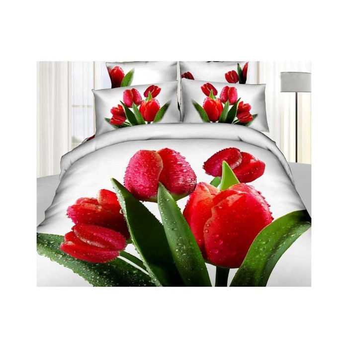 КПБ 1,5 сп, 180х245 см, 160х210 см, 70х70 см-2 шт., сатин TS01-835-70