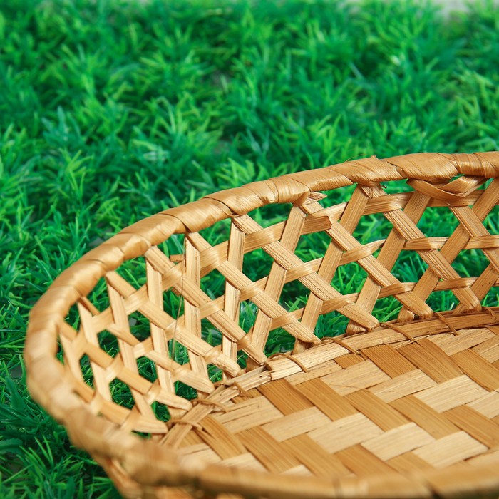 Фруктовница «Плетёнка», 24х20х6 см, бамбук