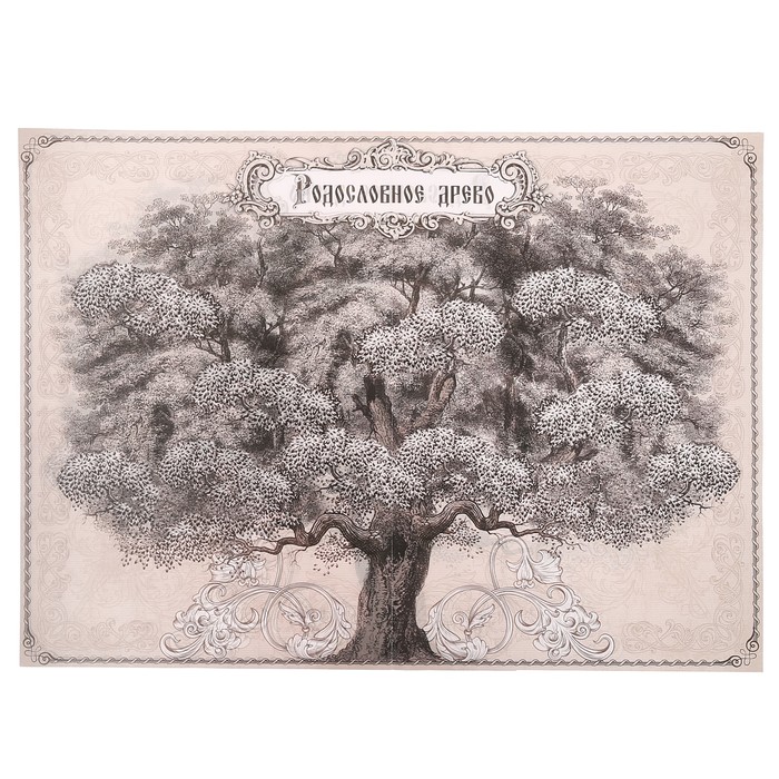 Родословная книга "Семейный архив"