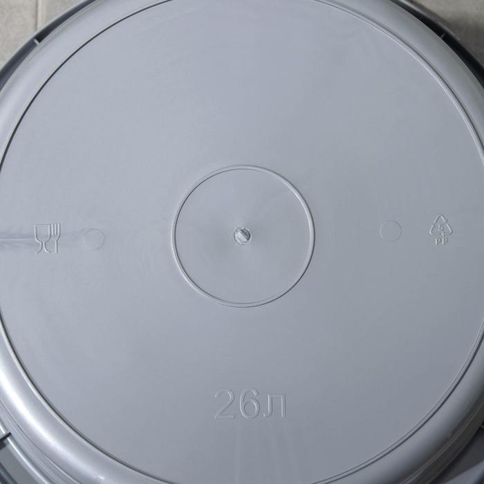 Таз 26 л, цвет МИКС