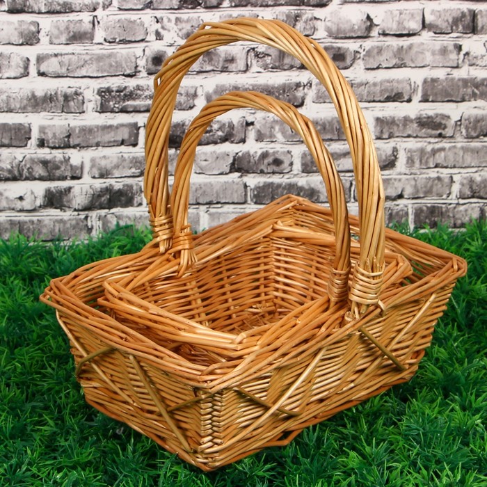 Набор корзин «Афоня», 2 шт: 23х16х8/21 см, 16х12х6,5/16,5 см