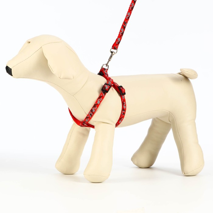 Комплект прошитый "Милитари", ширина 1 см, красный