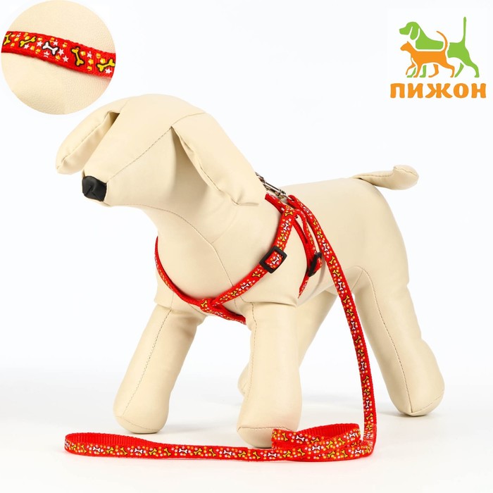 

Комплект "Звёздные косточки", поводок 120 х 1 см, ОГ 23-35 см, красный