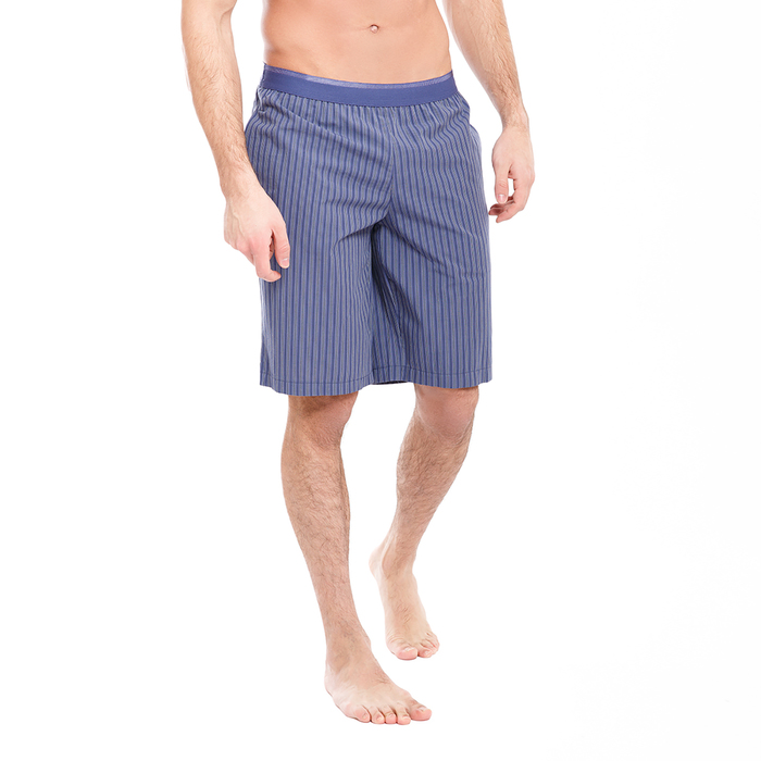 Шорты мужские 17-445-9 (531021) цвет синий, р-р 48 (M)