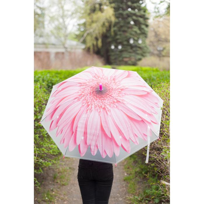 Зонт-трость "Гербера", полуавтоматический, со свистком, R=41см, цвет розовый