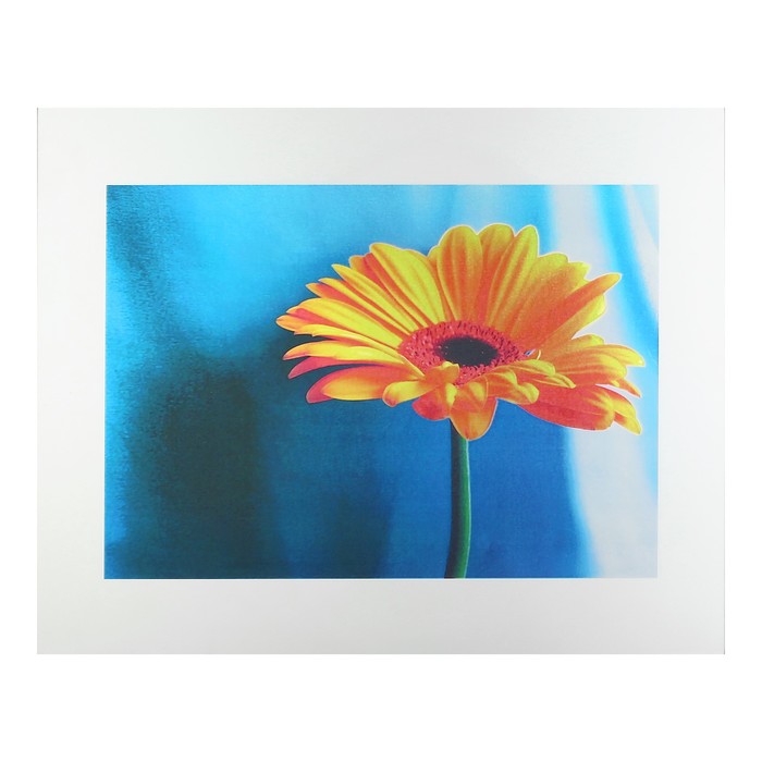 Картина на стекле "Яркая гербера" 50х40 см