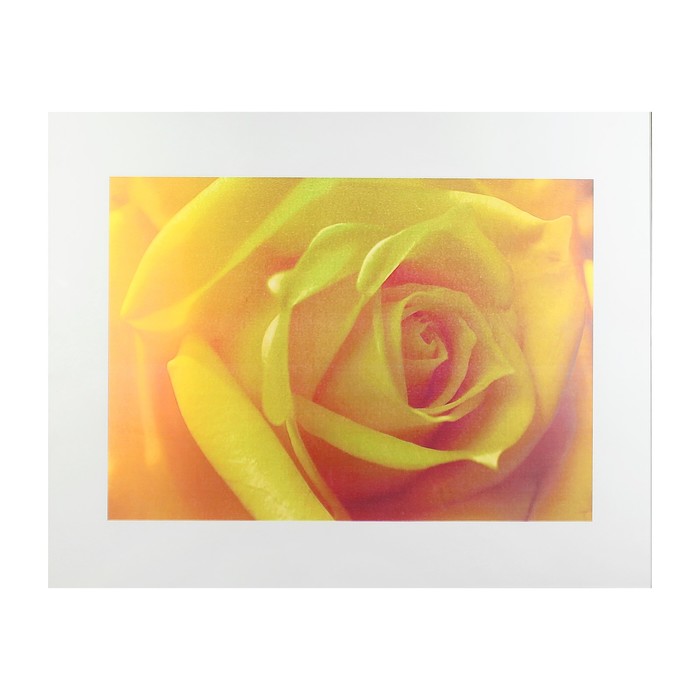 Картина на стекле "Жёлтый бутон" 50х40 см