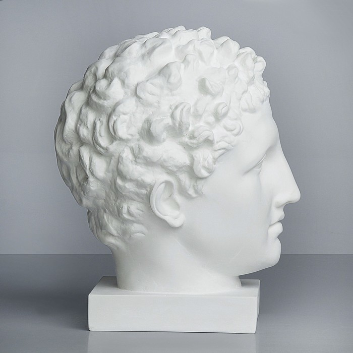 Гипсовая фигура Академическая Голова Гермеса 23.5*28*36 10-130