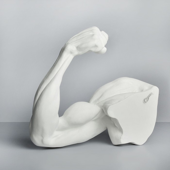 Гипсовая фигура, рука, согнутая в локте «Мастерская Экорше», 36.5 х 14 х 41.5 см