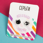 Котики Котики