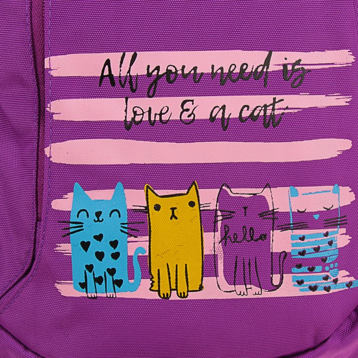 Рюкзак школьный эргономичная спинка Stavia для девочки 41*30*15 «Котята» 67168 сиреневый