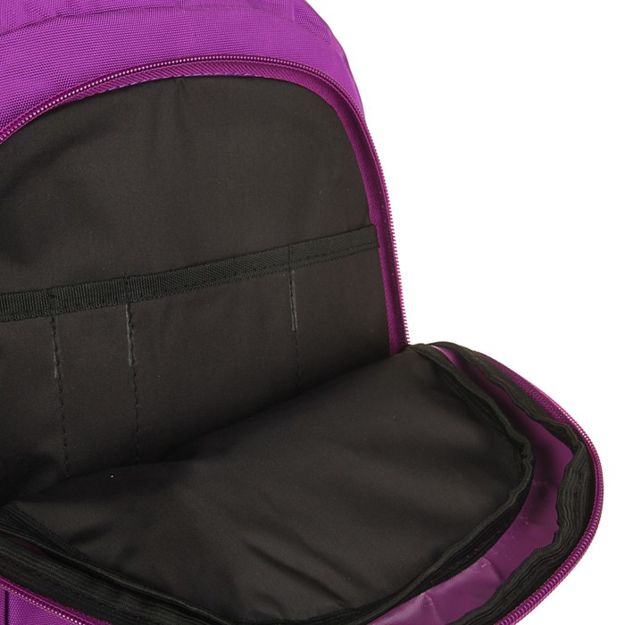 Рюкзак школьный эргономичная спинка Stavia для девочки 41*30*15 «Котята» 67168 сиреневый