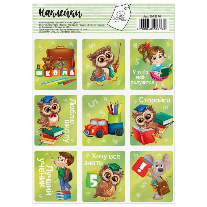 Бумажные наклейки «Школьная пора», 11 × 16 см