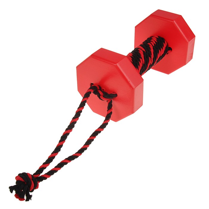 Снаряд для апортировки с канатом Dumbbelldog wood большой, дерево, 1000 г, красный