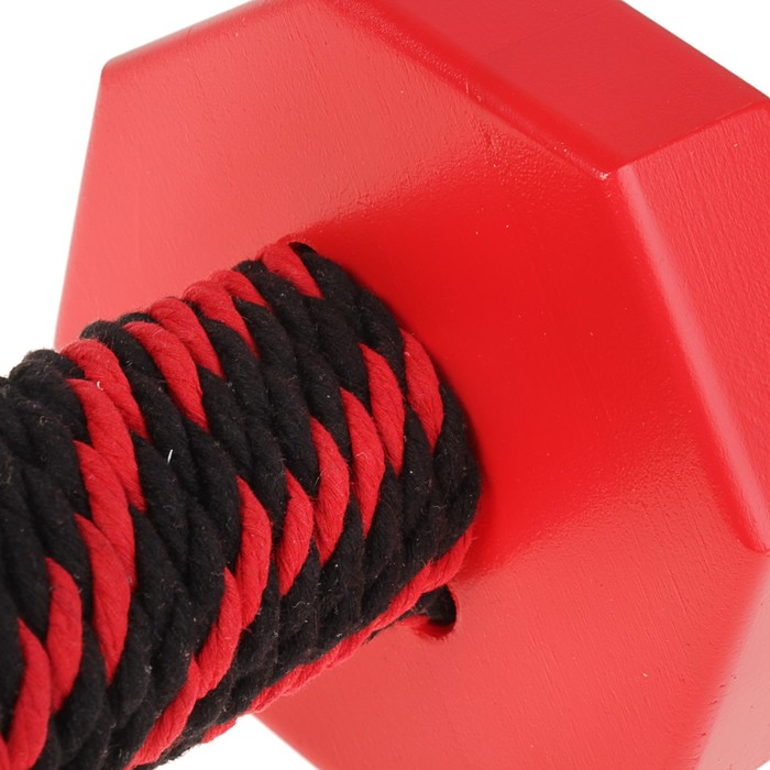 Снаряд для апортировки с канатом Dumbbelldog wood большой, дерево, 1000 г, красный