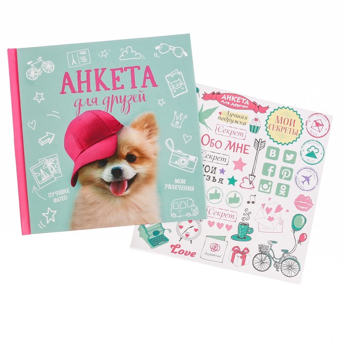 Анкета для девочек с наклейками "Анкета для друзей", 14,5 х 14,5 см, твёрдая обложка, 20 страниц
