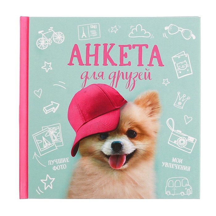 Анкета для девочек с наклейками "Анкета для друзей", 14,5 х 14,5 см, твёрдая обложка, 20 страниц