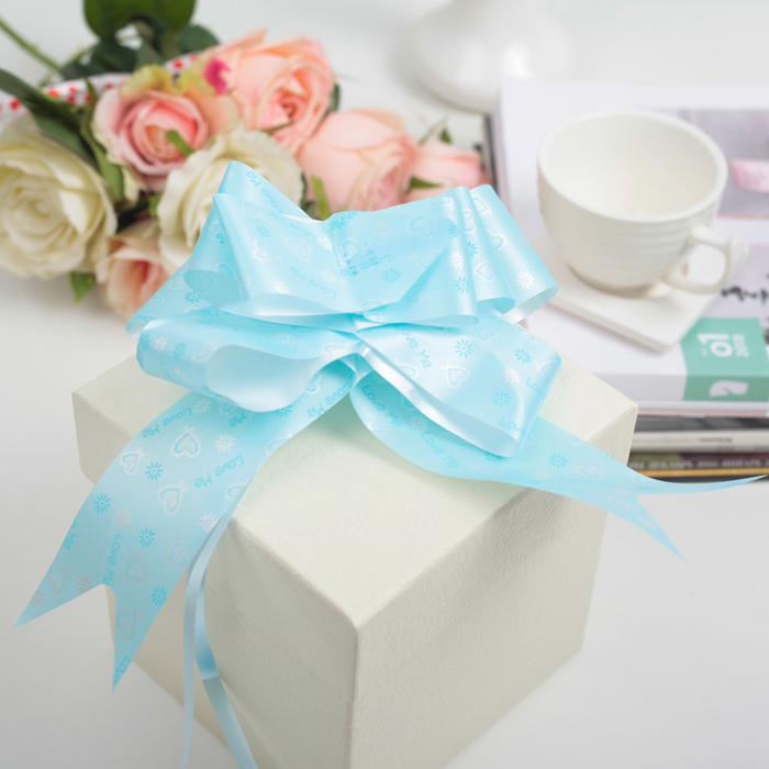 Бант-бабочка №5