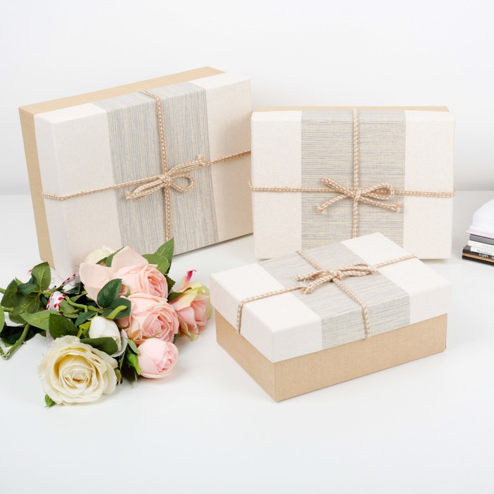 Набор коробок 3в1, 28 х 21 х 11 - 22 х 15 х 9 см