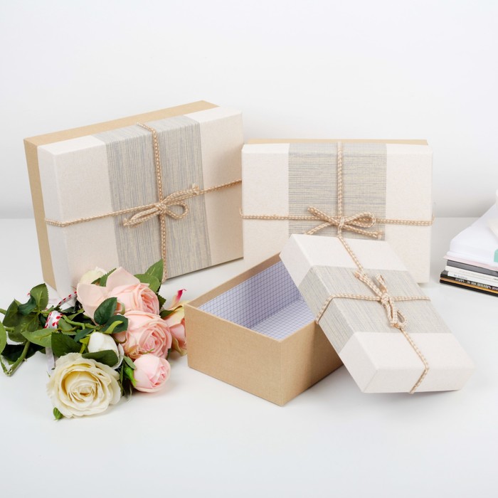 Набор коробок 3в1, 28 х 21 х 11 - 22 х 15 х 9 см