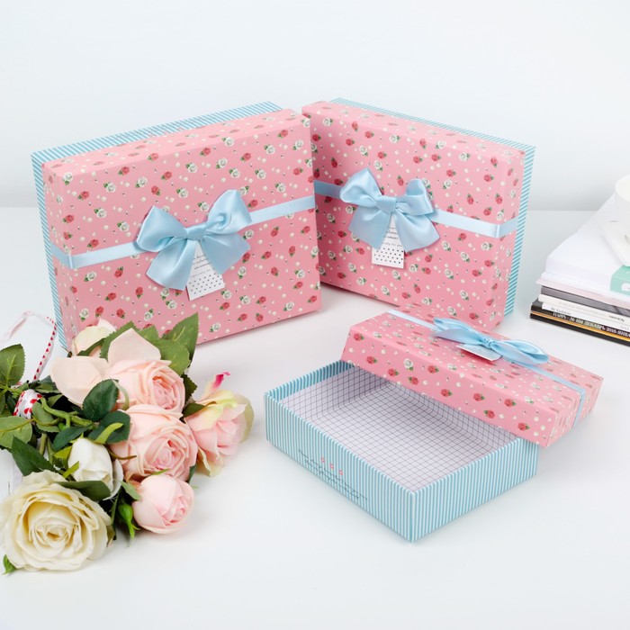 Набор коробок 3в1, 24 х 19 х 8 - 18 х 14 х 5 см