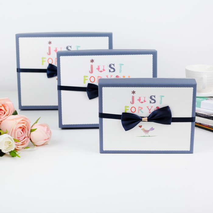 Набор коробок 3в1, 24 х 19 х 8 - 18 х 14 х 5 см