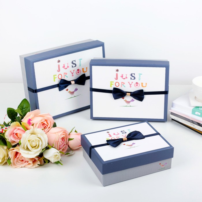 Набор коробок 3в1, 24 х 19 х 8 - 18 х 14 х 5 см