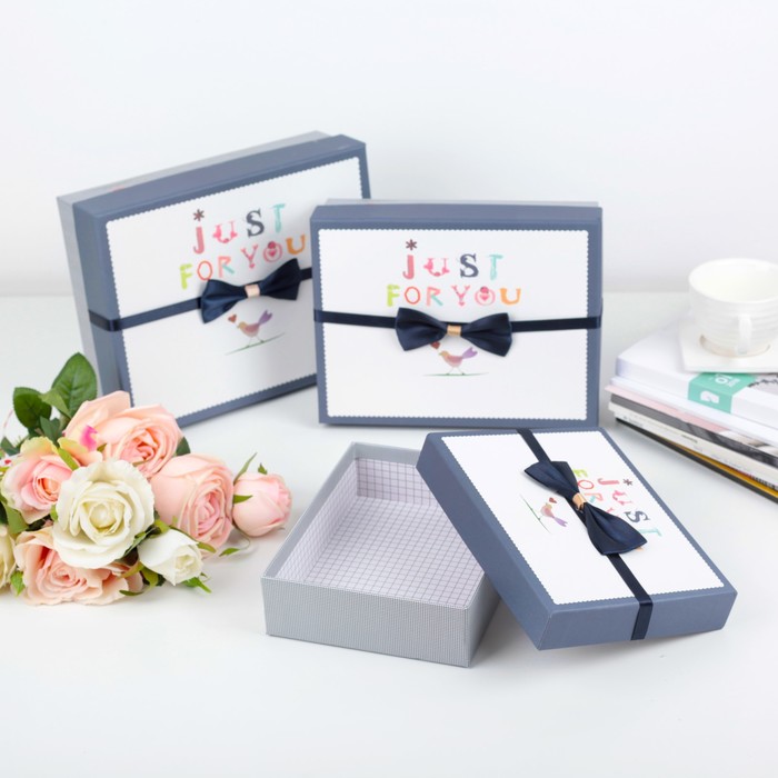 Набор коробок 3в1, 24 х 19 х 8 - 18 х 14 х 5 см