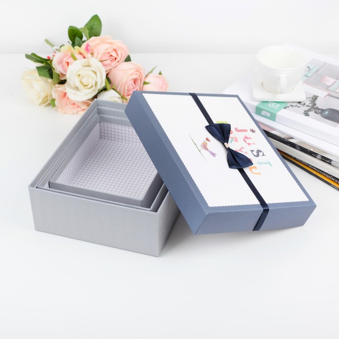 Набор коробок 3в1, 24 х 19 х 8 - 18 х 14 х 5 см