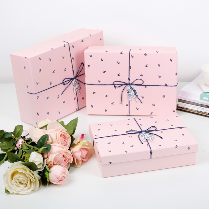 Набор коробок 3в1, 29 х 21 х 8,5 - 24 х 17 х 6,5 см