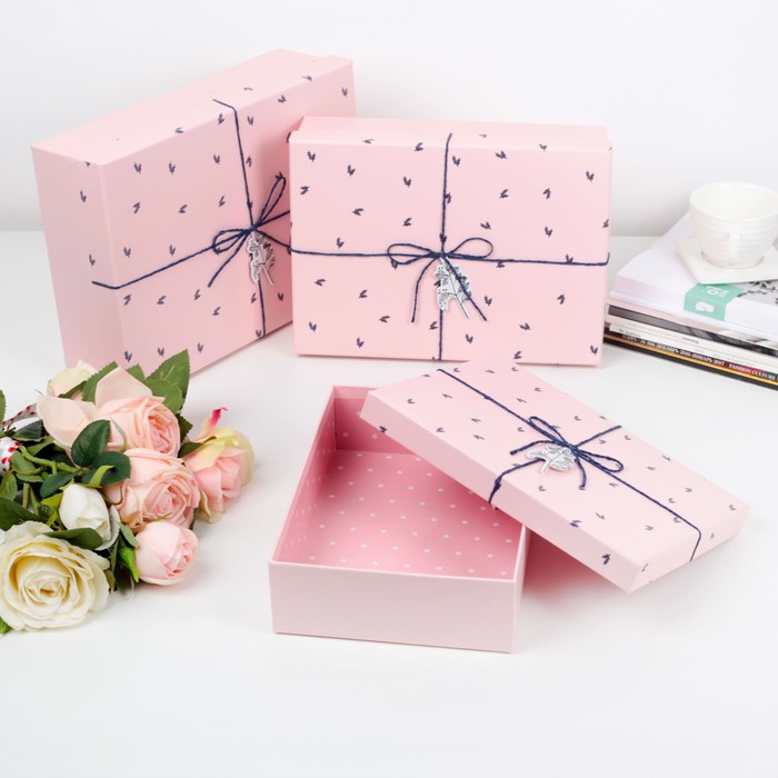 Набор коробок 3в1, 29 х 21 х 8,5 - 24 х 17 х 6,5 см