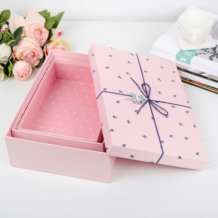 Набор коробок 3в1, 29 х 21 х 8,5 - 24 х 17 х 6,5 см