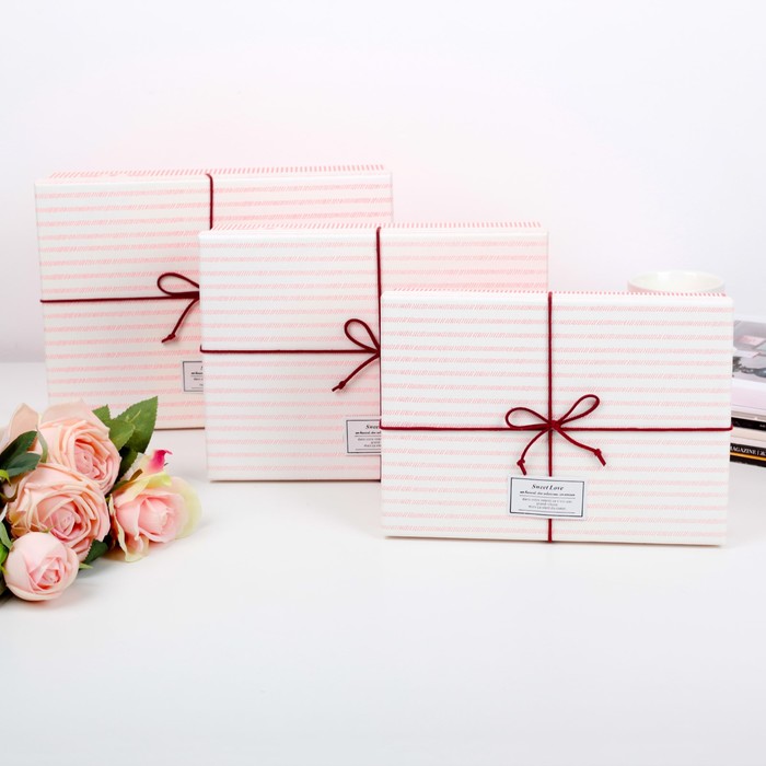 Набор коробок 3в1, 29 х 21 х 8,5 - 24 х 17 х 6,5 см