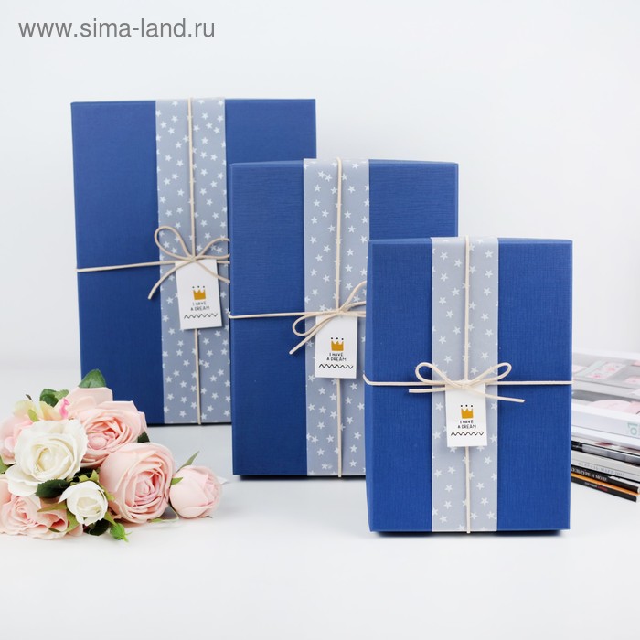 

Набор коробок 3 в 1, синий, 33 х 25 х 11,5 - 24 х 17 х 6,5 см