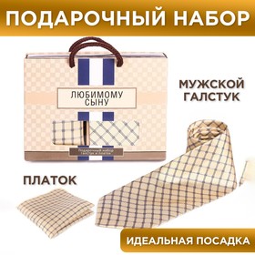 Подарочный набор: галстук и платок 'Любимому сыну' Ош
