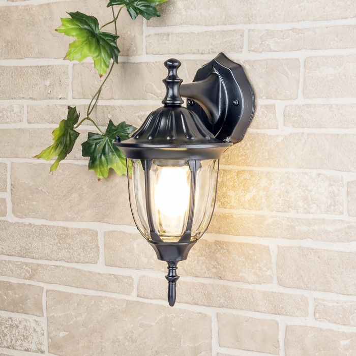 Светильник Elektrostandard садово-парковый, 60 Вт, E27, IP44, настенный, 1002D черный