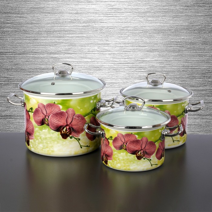 Набор кастрюль "Орхидея", 3 шт: 2 л, 3 л, 5,5 л, стеклянные крышки
