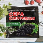 Миниатюра