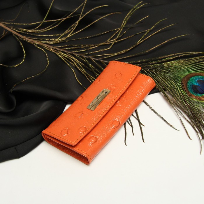 Футляр для ключей, 6 карабинов, внутренний карман, цвет рыжий