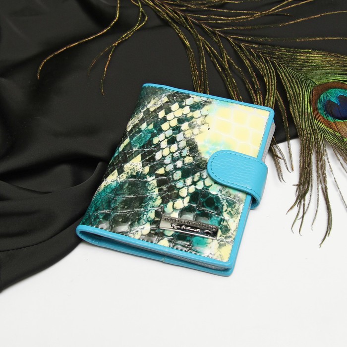 Обложка для автодокументов, 4 кармана для карт, с хлястиком, змея, цвет бирюзовый