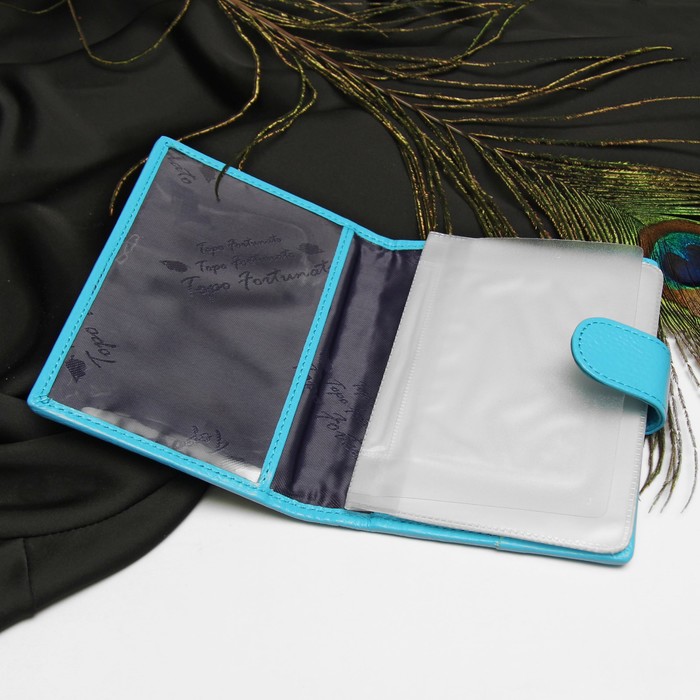 Обложка для автодокументов, 4 кармана для карт, с хлястиком, змея, цвет бирюзовый