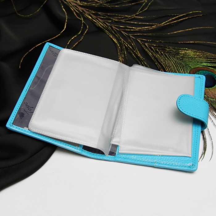 Обложка для автодокументов, 4 кармана для карт, с хлястиком, змея, цвет бирюзовый