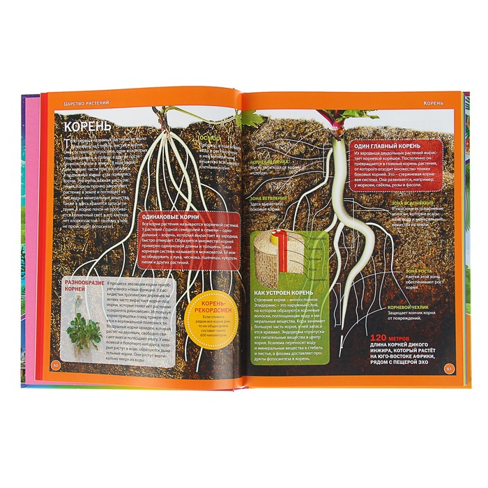 Энциклопедия для девочек обо всём на свете