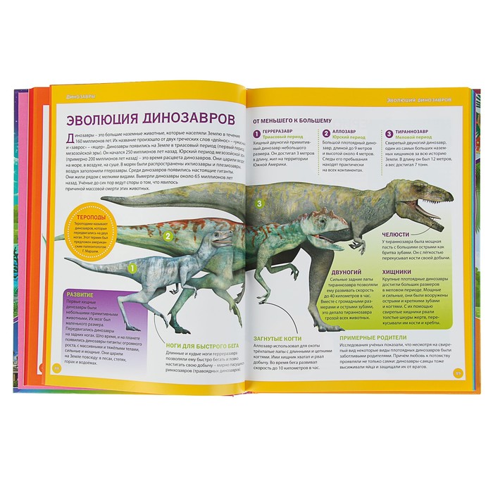 Энциклопедия для девочек обо всём на свете