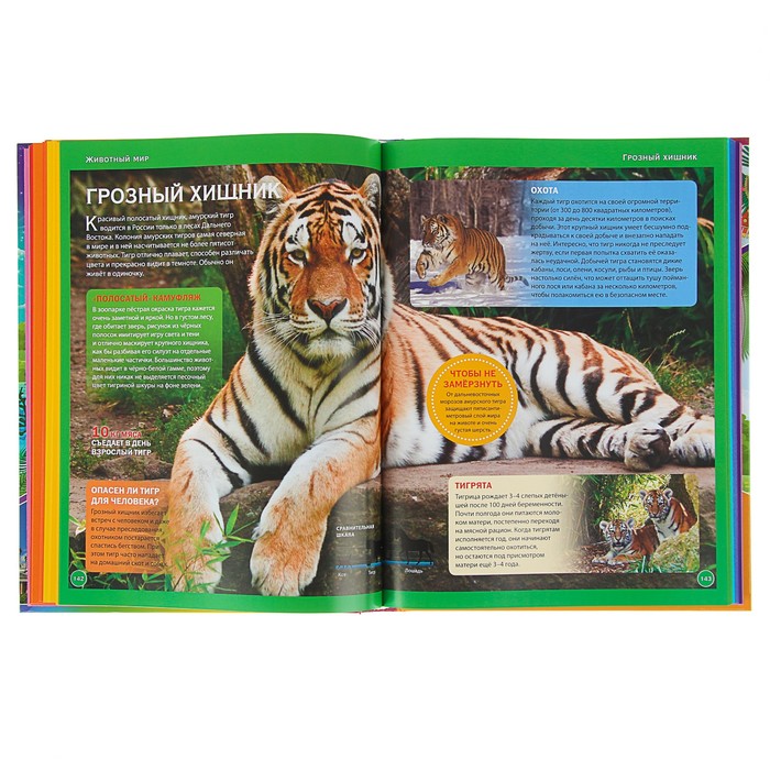 Энциклопедия для девочек обо всём на свете